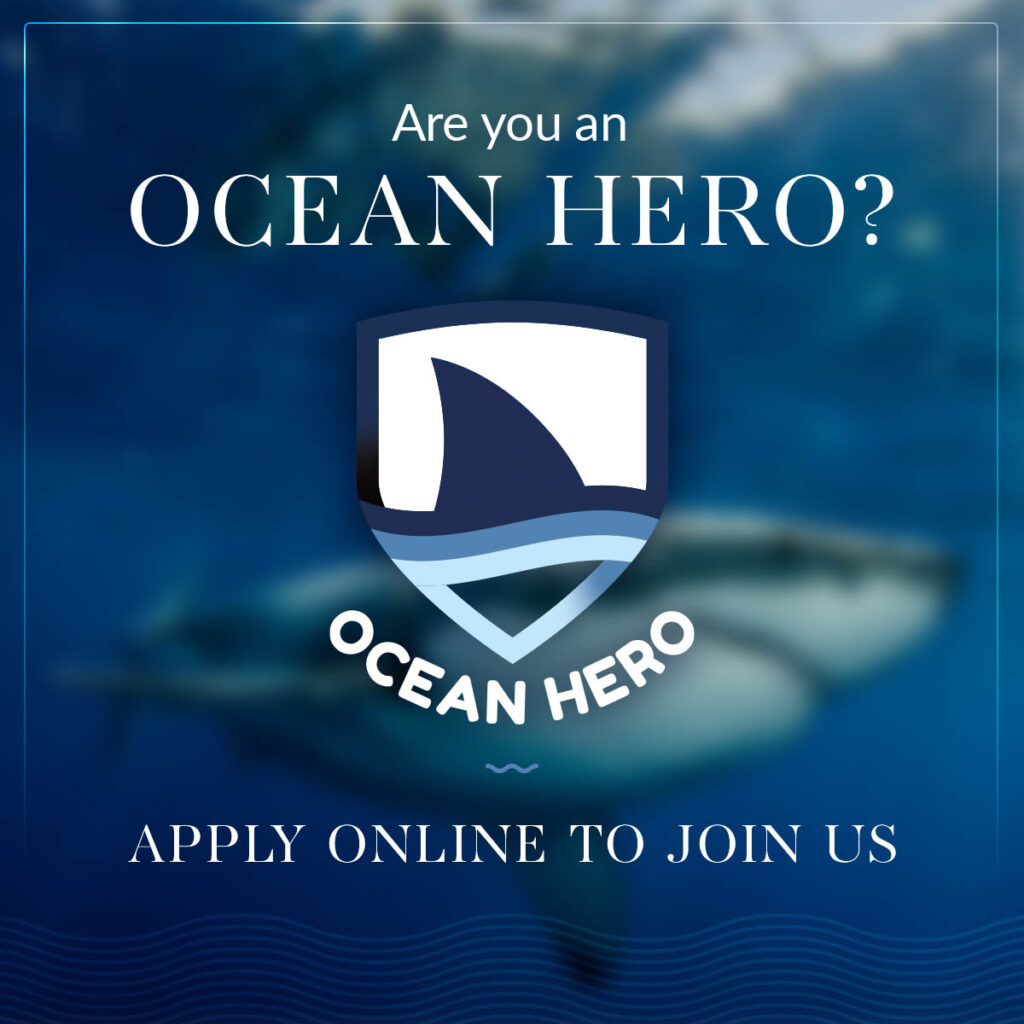 Ocean Hero