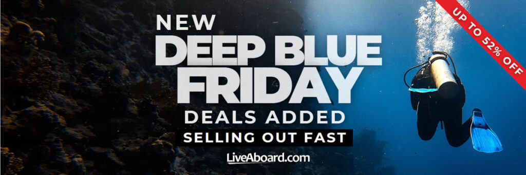 Deep Blue Friday Deals