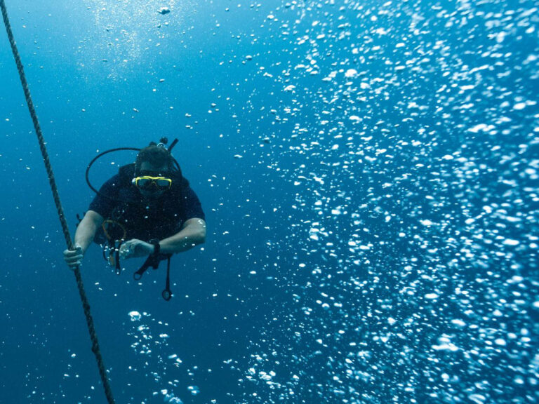 Diver Underwater