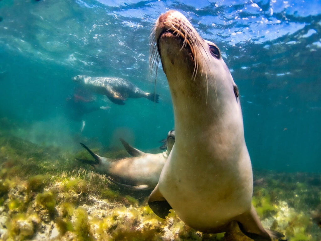 Jurien Bay, Western Australia 