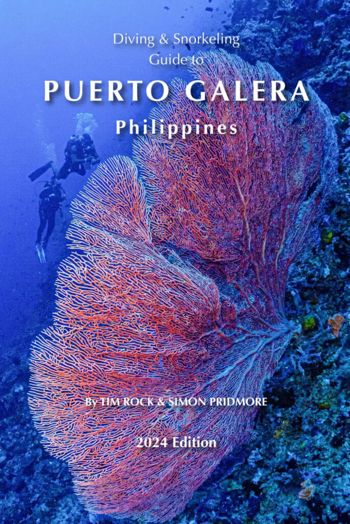 Puerto Galera