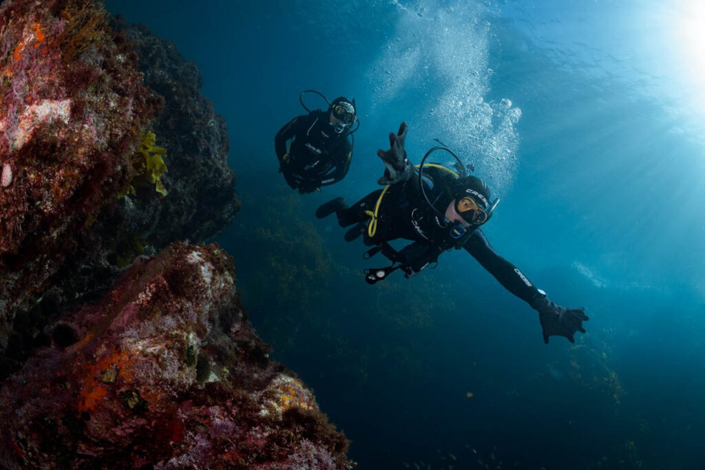 PADI Adaptive Diving Week