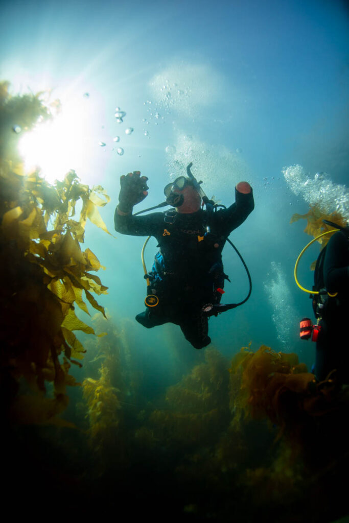 PADI Adaptive Diving Week