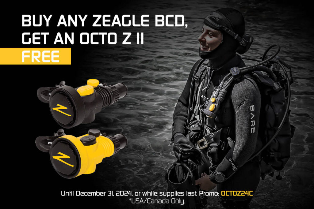 Zeagle Offer Christmas 2024