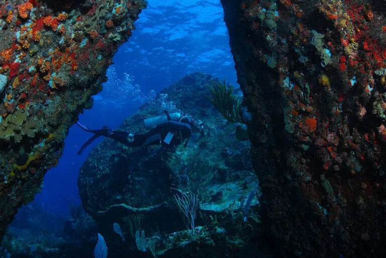 All Star Cuan Law Liveaboard, Virgin Islands