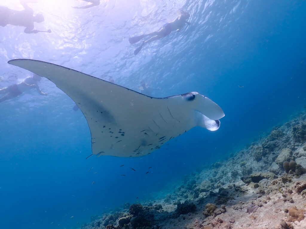 Dhigali Maldives