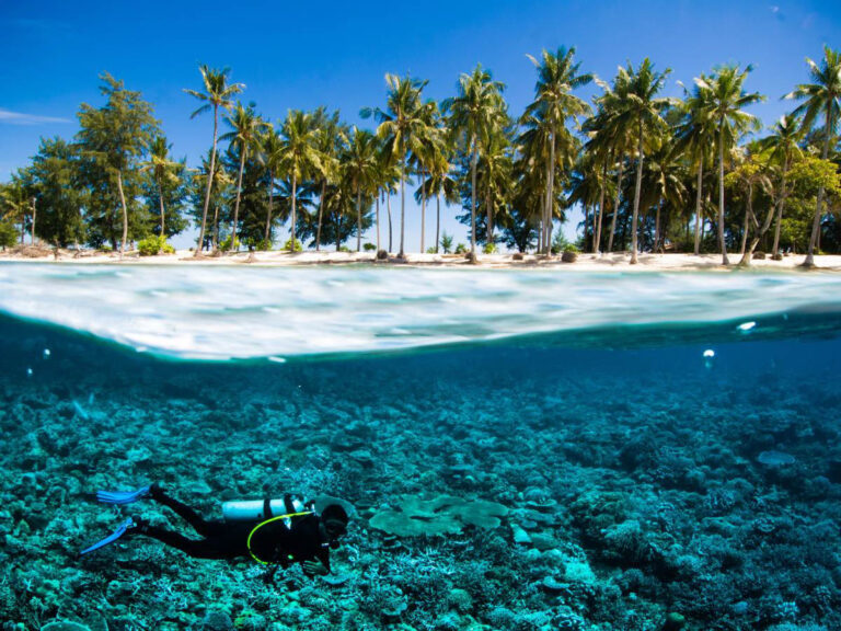 Diver Underwater