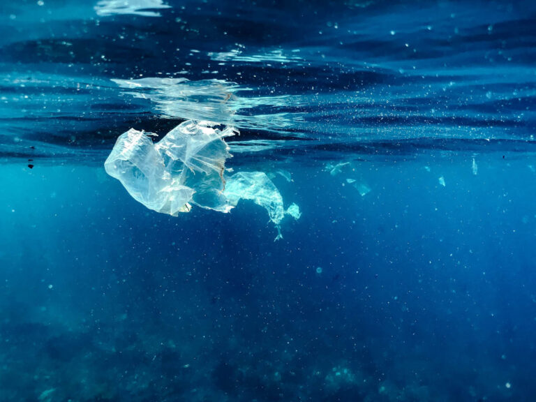 Floating Plastic Bag