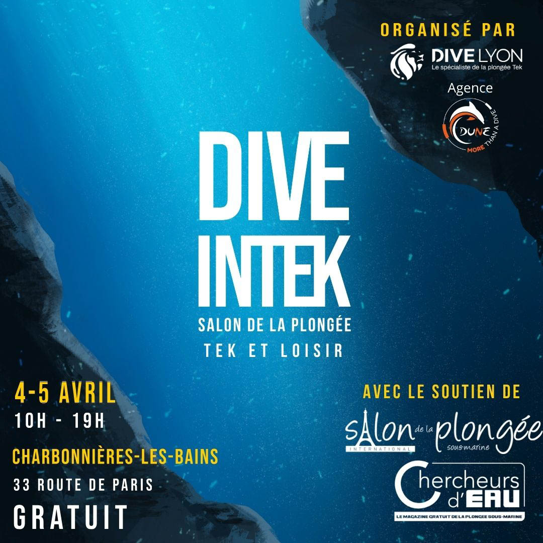 Dive INTEK 2025